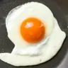 Egg 的個人檔案照片
